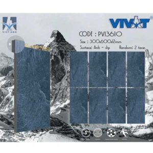 gach-vivat-30x60-pvi3610ln