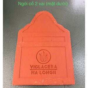 ngoi-hai-co-2-vai-viglacera-ha-long-tieu-dao-a1-1