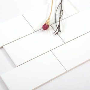gach-the-trang-tri-men-kho-10x20cm-ds-1
