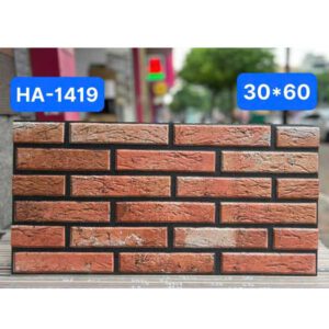 gach-op-tuong-an-do-ha-1419-30x60