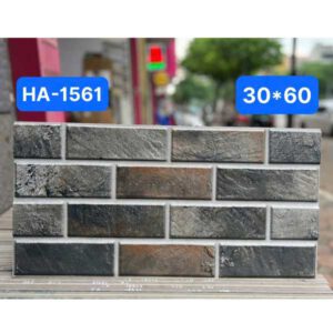 gach-op-tuong-an-do-ha-1561-30x60