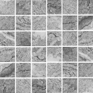 gach-mosaic-ho-boi-vietceramics-30x30-2sr1-hialgy