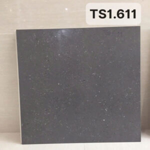 gach-op-lat-viglacera-60x60-ts1-611