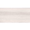 gach-op-lat-vietceramic-30x60-3060em36021