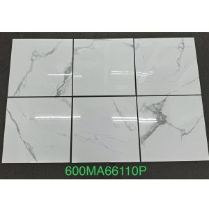 gach-op-lat-vietceramic-60x60-600ma66110p-3
