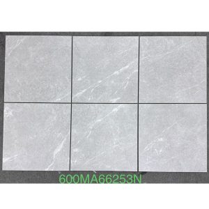 gach-op-lat-vietceramic-60x60-600ma66253n-2