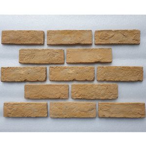 gach-the-co-trang-tri-19x6x1-5