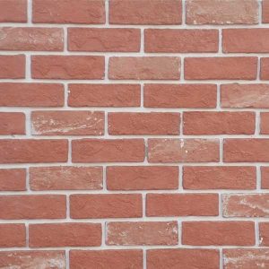 sp-gach-the-co-trang-tri-19x6x1-3