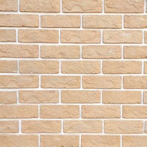 sp-gach-the-co-trang-tri-19x6x1-5