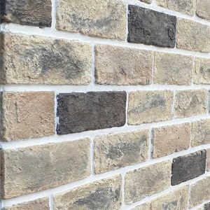 sp-gach-the-co-trang-tri-19x6x1-6