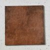 gach-op-lat-trung-quoc-fg4245j-ds-40x40