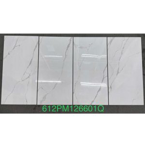gach-op-lat-vietceramic-60x120-612pm126601q-2