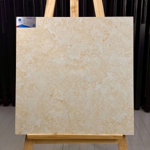 gach-op-lat-viglacera-60x60-tb603-1