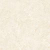 gach-op-lat-viglacera-60x60-tb603