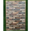 gach-op-tuong-trang-tri-an-do-so-fe-1-30x60