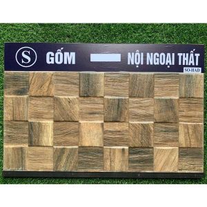 gach-op-tuong-trang-tri-an-do-so-had-30x60-1