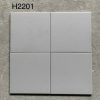gach-op-tuong-trung-quoc-ecb-h2201-20x20cm