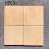 gach-op-tuong-trung-quoc-ecb-h2231-20x20cm