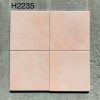 gach-op-tuong-trung-quoc-ecb-h2235-20x20cm