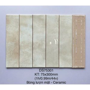 gach-the-trang-tri-tq-ds75301-7-5x30cm