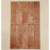 gach-the-trang-tri-tq-md7535s10-7-5x30cm