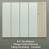 gach-the-trang-tri-tq-sta75306-7-5x30cm