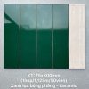 gach-the-vn-psta75312-7-5x30cm-4