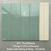 gach-the-vn-sta75315_s-7-5x30cm-3