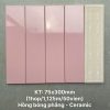 gach-the-vn-sta75316_s-7-5x30cm-3