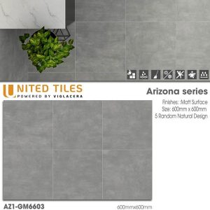 gach-lat-nen-arizona-viglacera-az1-gm6603-60x60-2