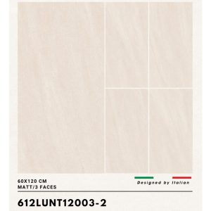 gach-lat-nen-trung-quoc-60x120cm-612lu12003-2-2
