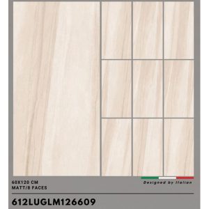 gach-lat-nen-trung-quoc-60x120cm-612lu126609-3