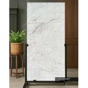 gach-lat-nen-trung-quoc-60x120cm-612lu612c2