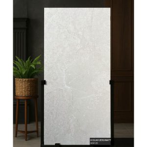 gach-lat-nen-trung-quoc-60x120cm-612lu612e92