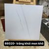 gach-lat-nen-trung-quoc-60x60cm-66020