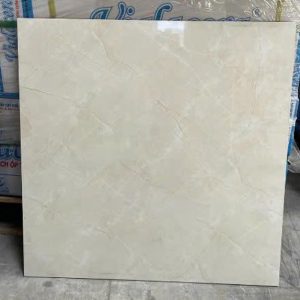 gach-lat-nen-viglacera-80x80-tb-810