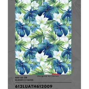 gach-op-lat-trung-quoc-60x120cm-612lu612009-1