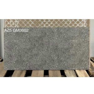 gach-op-tuong-viglacera-30x60-az5-gm3602
