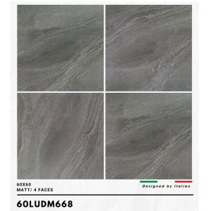 gach-trung-quoc-60x60-cm-60ludm668