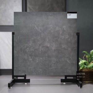 gach-trung-quoc-60x60cm-60luct05