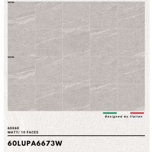 gach-trung-quoc-60x60cm-60lupa6673w-3