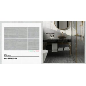 gach-trung-quoc-60x60cm-60lust6505m-1
