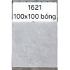 gach-van-da-trung-quoc-1621-hp-house-100x100-cm