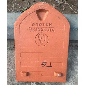 ngoi-so-co-viglacera-ha-long-tieu-dao-a1-co-chan-1