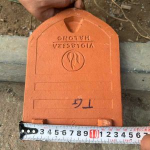 ngoi-so-co-viglacera-ha-long-tieu-dao-a1-co-chan-4