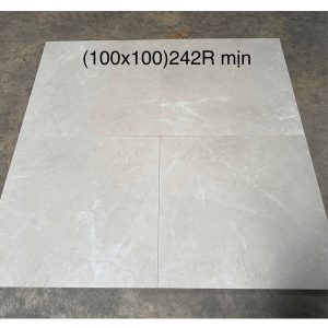 sp-gach-trung-quoc-100x100-tq242r-hh