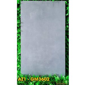 gach-arizona-viglacera-30x60-az1-gm3602-men-matt-3