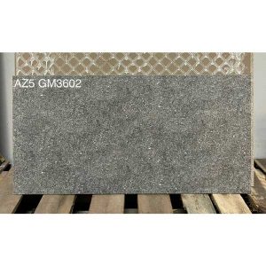 gach-arizona-viglacera-30x60-az5-gm3602-men-matt-4