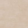 gach-lat-nen-arizona-viglacera-80x80-az1-gm8805
