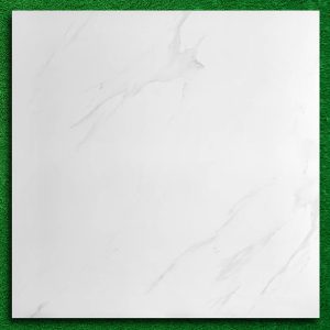 gach-lat-nen-arizona-viglacera-80x80-az6-gm8801